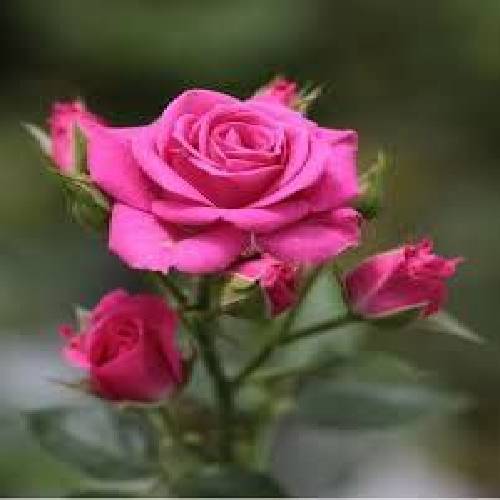 امید کرمی چشمامو میبندم ندارم هیچ دغدغه ی